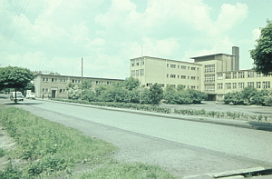 Senftenberg